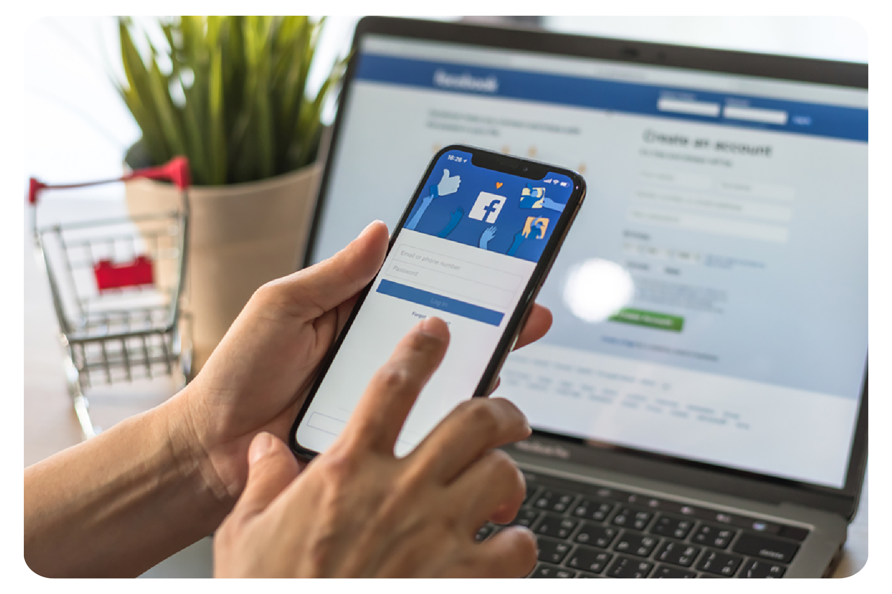 Establish a regular online store to prepare and seize the opportunity of consumer brokerage